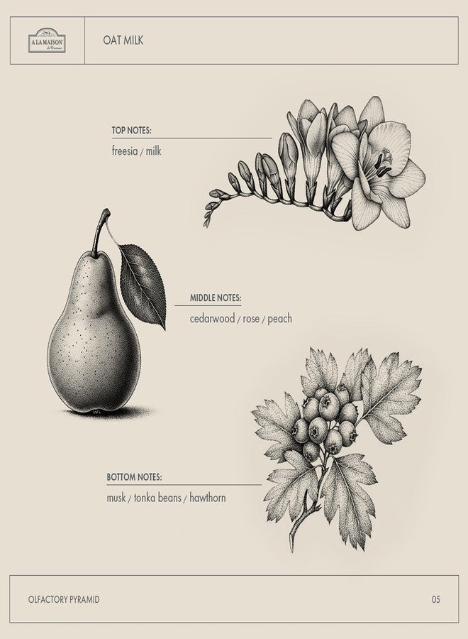 أ لا مايسون صابون حليب الشوفان من A LA MAISON - صابون مرطب طبيعي لليدين مصنوع ثلاث مرات بتقنية الطحن الفرنسي (قطعة صابون واحدة، 8.8 أونصة) - Image 5
